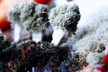 Similar image 10507660