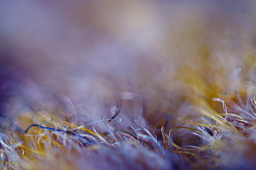 Similar image 10507667