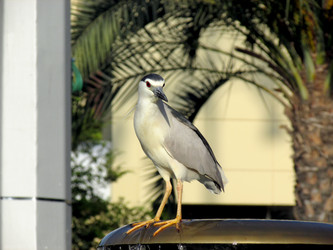 Similar image 10507697