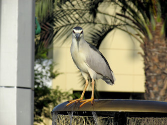 Similar image 10507698