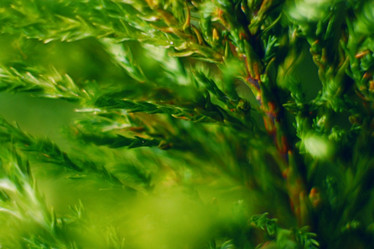 Similar image 10507813