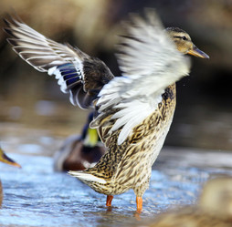 Similar image 10507814