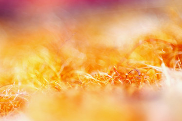 Similar image 10507815