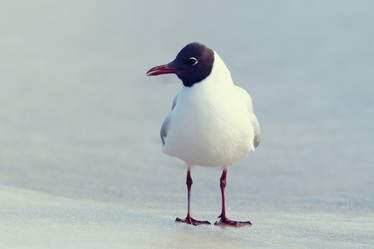 Similar image 10507836