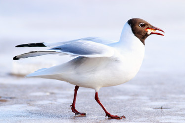 Similar image 10507838