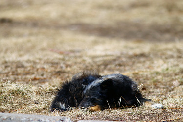 Similar image 10507846