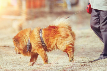 Similar image 10507847