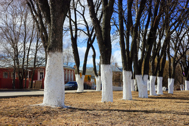 Similar image 10507849