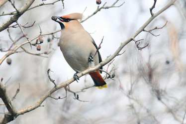 Similar image 10507852