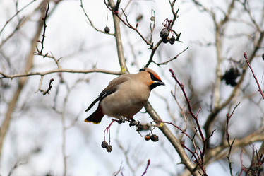 Similar image 10507854