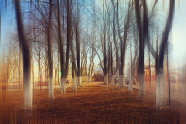 Similar image 10507856