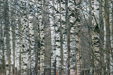 Similar image 10507857