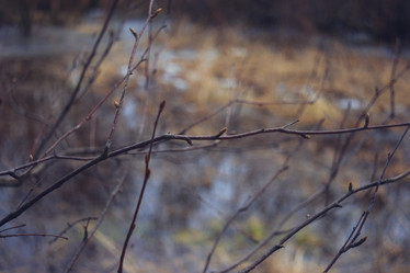 Similar image 10507863