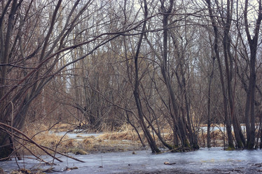 Similar image 10507864