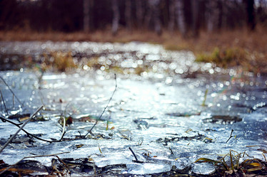 Similar image 10507865