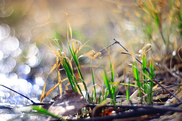 Similar image 10507867