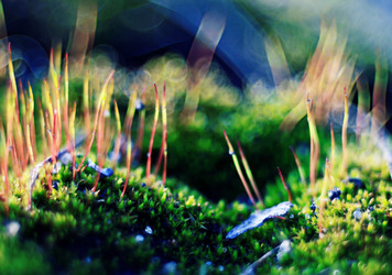 Similar image 10507878