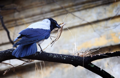 Similar image 10507879