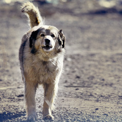 Similar image 10507880