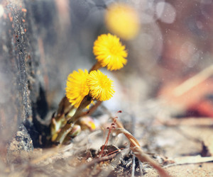 Similar image 10507885