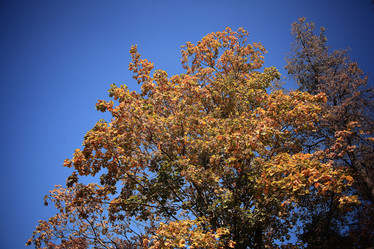 Similar image 10507890