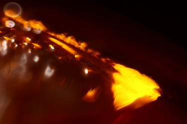 Similar image 10507902