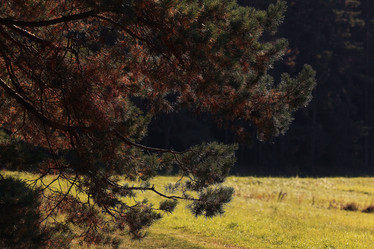 Similar image 10507907