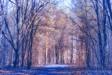 Similar image 10507912