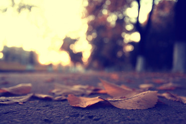 Similar image 10507916