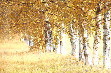 Similar image 10507925