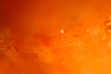 Similar image 10507948