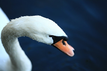 Similar image 10507952