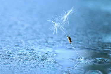 Similar image 10507968