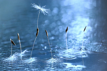 Similar image 10507969