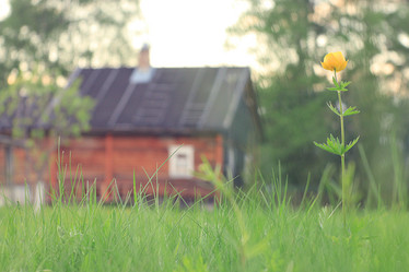 Similar image 10507972