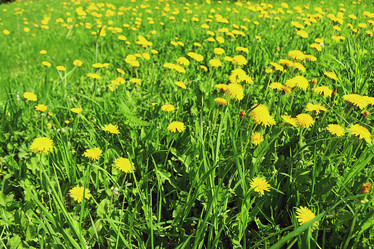 Similar image 10507976