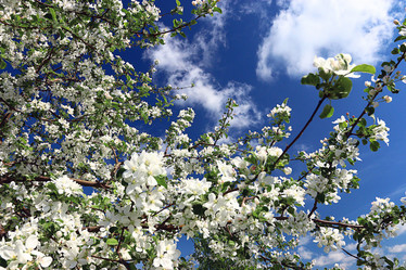 Similar image 10507978