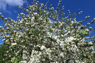 Similar image 10507980