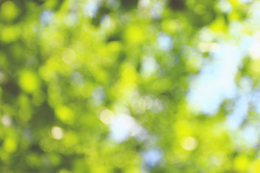 Similar image 10507984