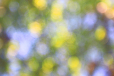 Similar image 10507986