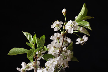 Similar image 10507994