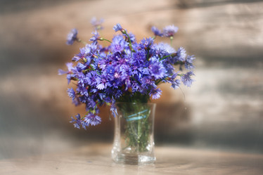 Similar image 10508000