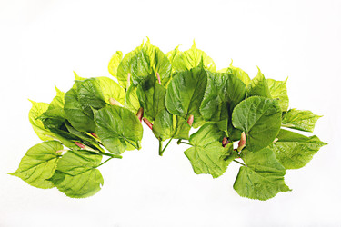 Similar image 10508005