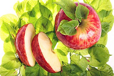 Similar image 10508009