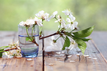 Similar image 10508012