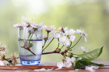 Similar image 10508014