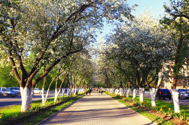 Similar image 10508020