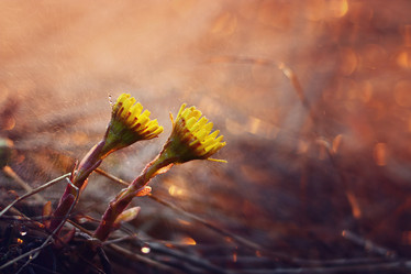 Similar image 10508023