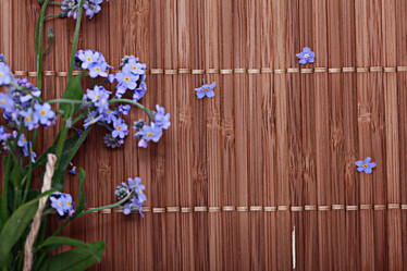 Similar image 10508025