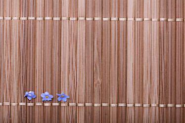 Similar image 10508026